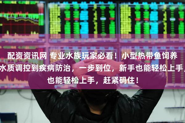 配资资讯网 专业水族玩家必看!小型热带鱼饲养全攻略,从水质调控到疾病防治,一步到位,新手也能轻松上手,赶紧码住!